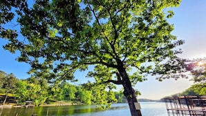 Un molo sul lago con una panchina, un albero e un pontile di legno che si protende nell'acqua.