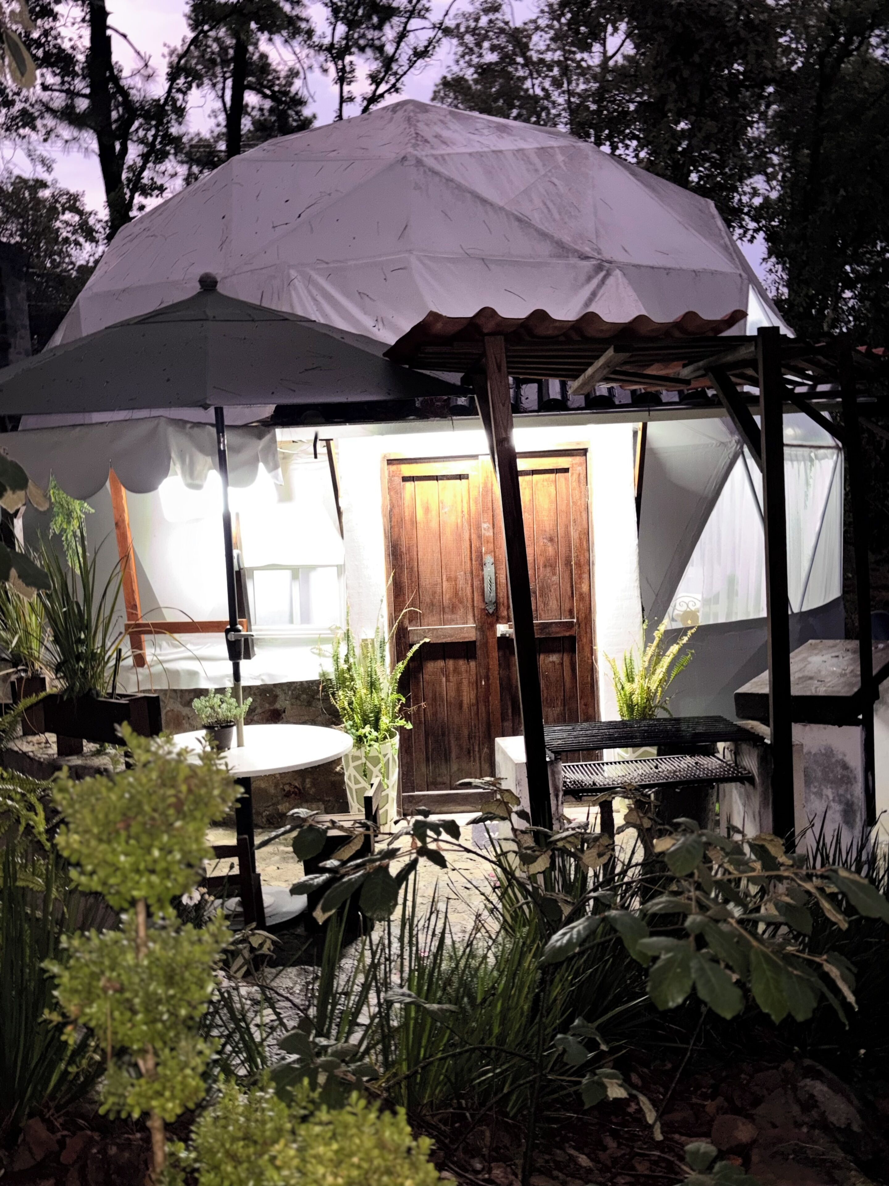 Habitación Deluxe, se aceptan mascotas | Terraza o patio