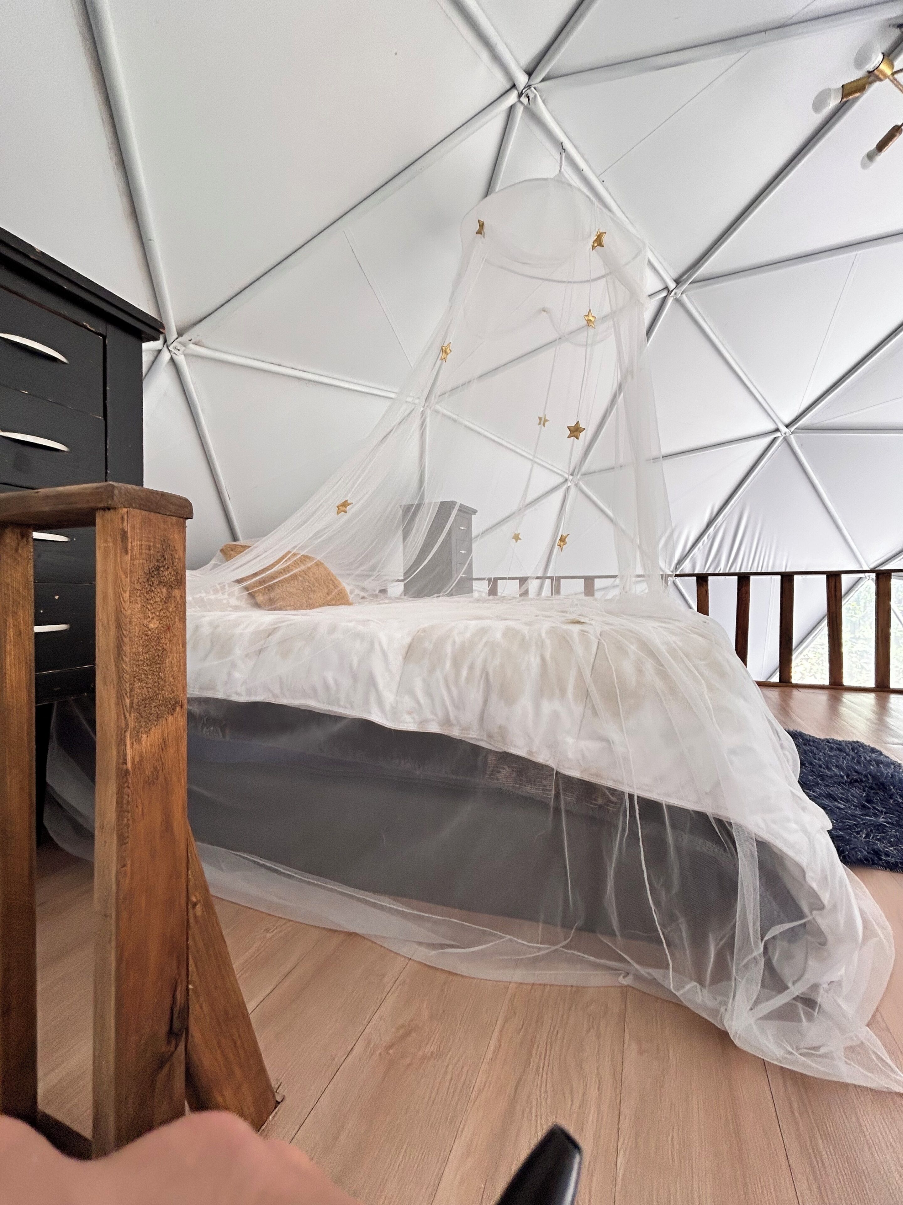 Deluxe Room, Pets allowed