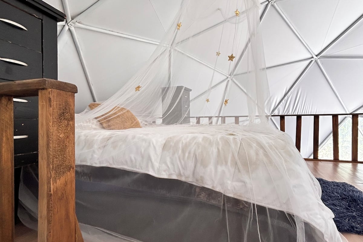Habitación Deluxe, se aceptan mascotas | Wifi gratis
