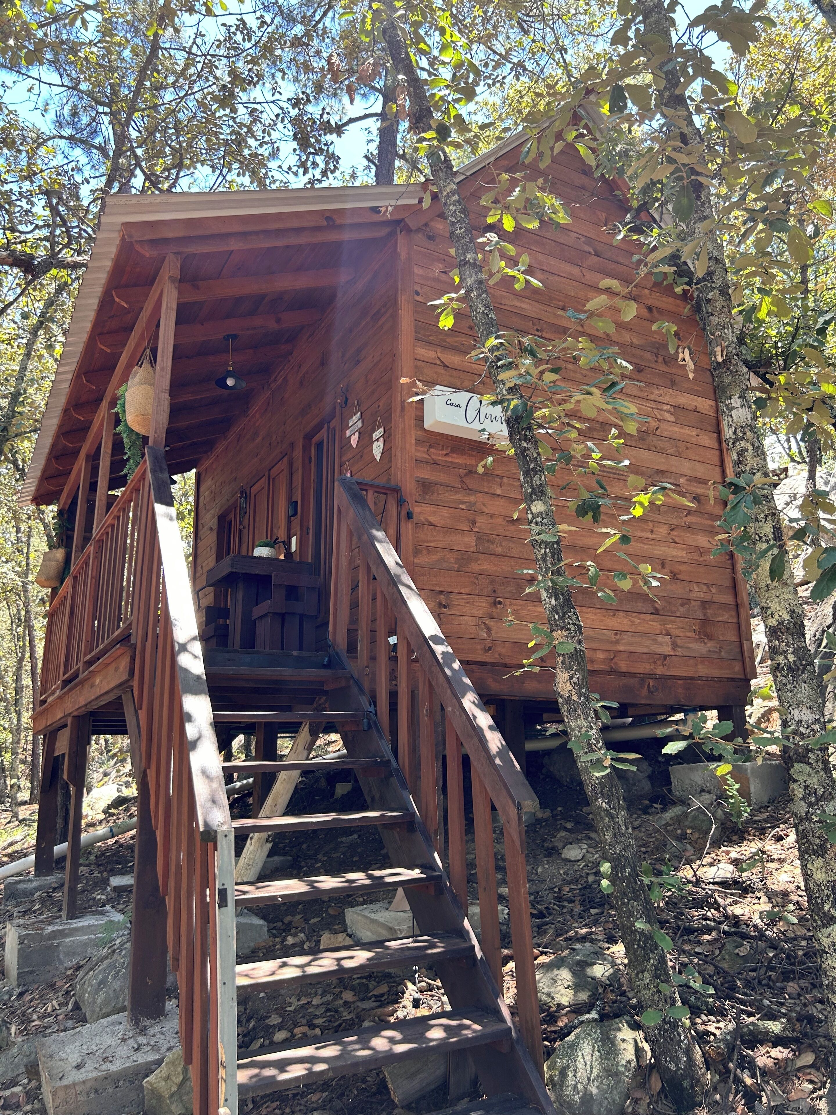 Habitación clásica, vista al jardín | Exterior