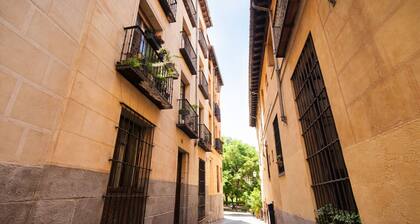 Toro Madrid