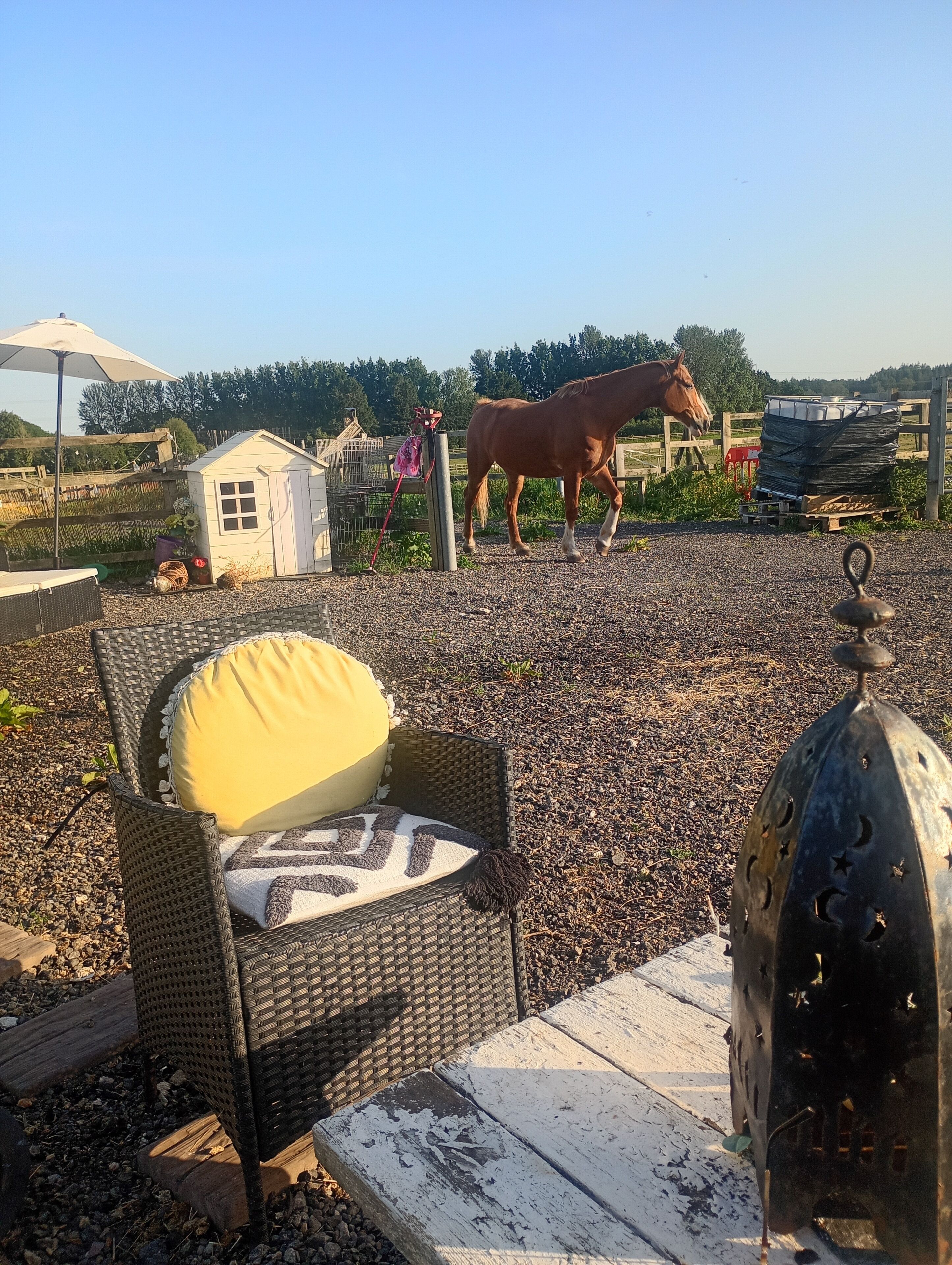 Ein Korbstuhl mit gelber Sitzkissen, ein Metalllaterne und ein Pferd im Hintergrund.