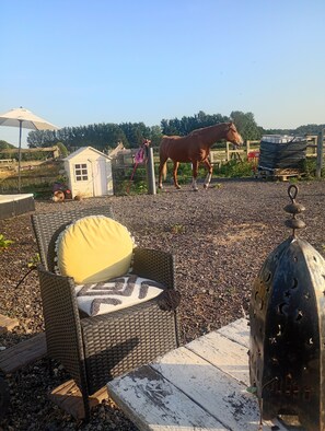 Terrein van de accommodatie