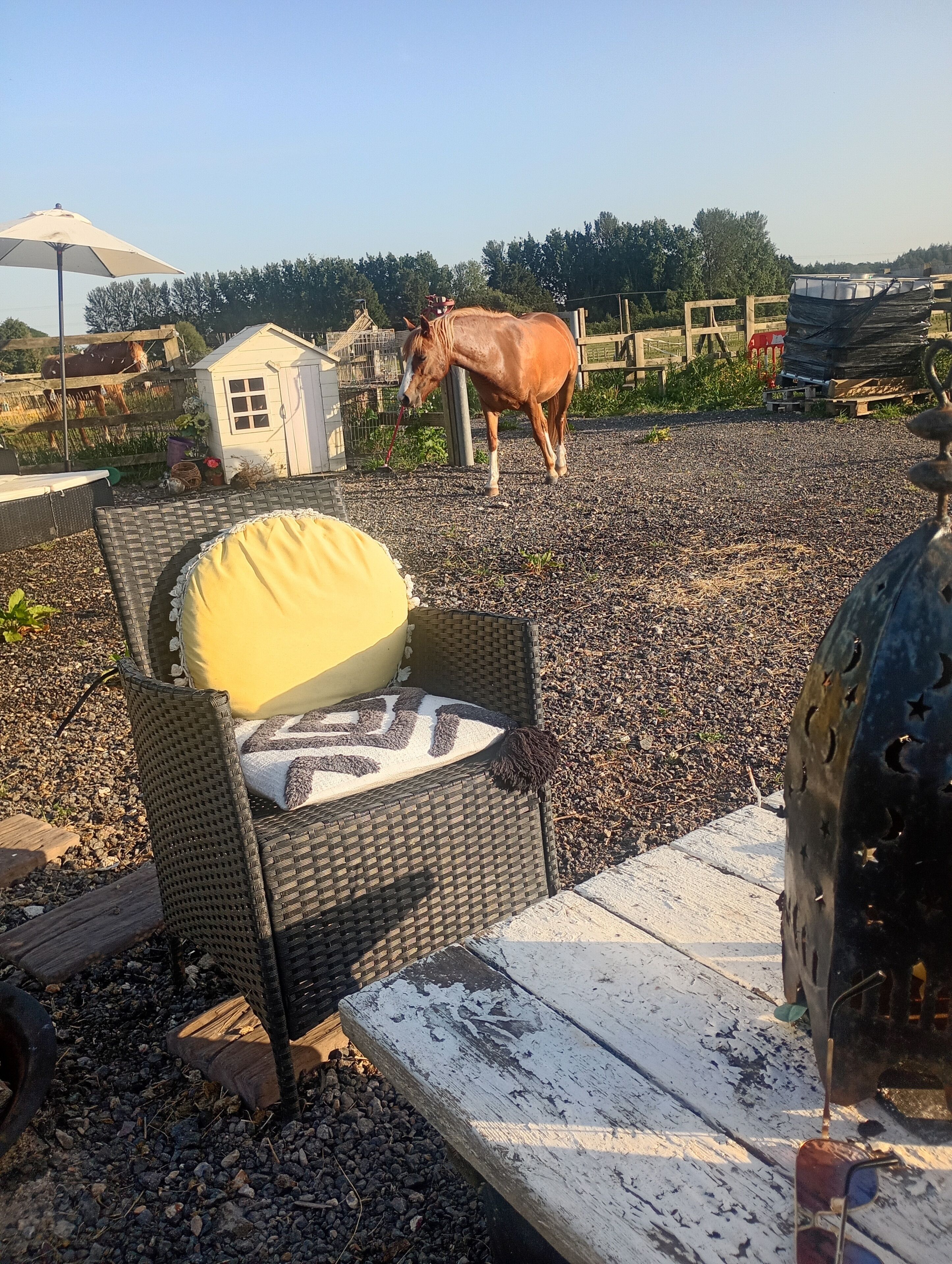 A wicker chair with a cushion, a grill, and a horse in a fenced area.