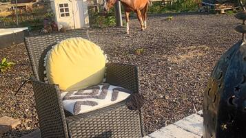 A wicker chair with a cushion, a grill, and a horse in a fenced area.