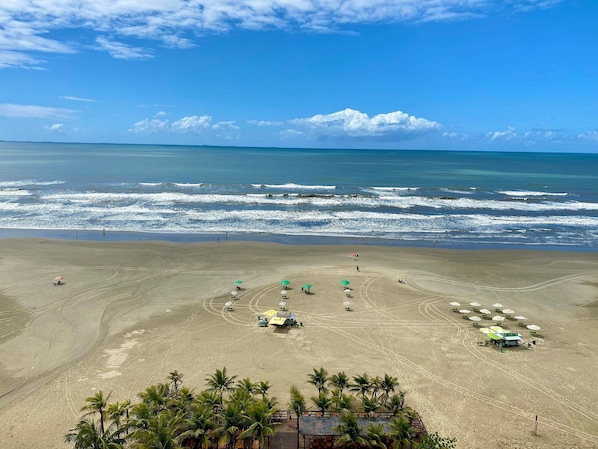 A beach with umbrellas and palm trees, a clear sky, and the ocean. - Edifício Paulo Roberto (Praia Grande)