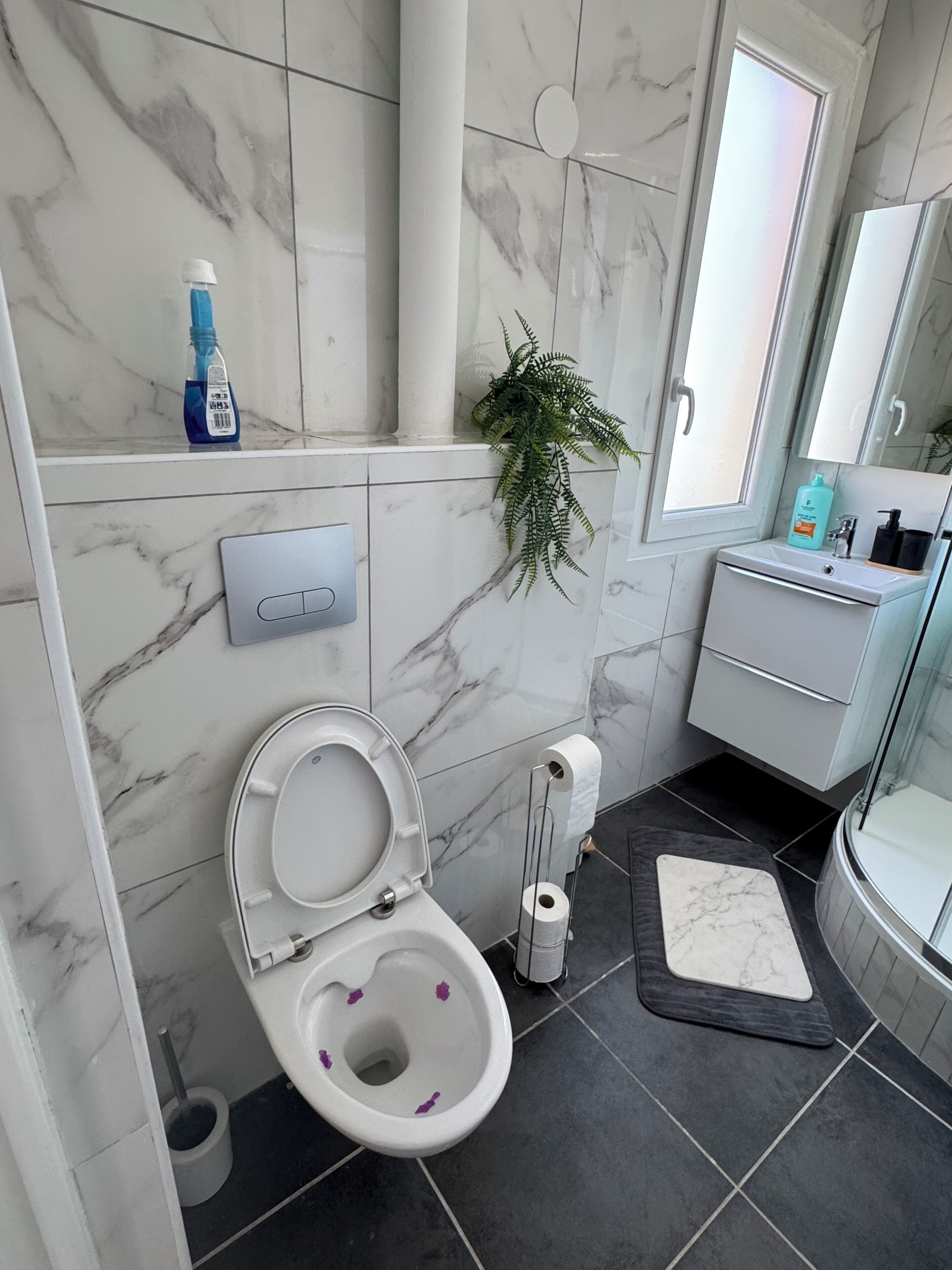 Een badkamer met toilet, wastafel, spiegel en douche.