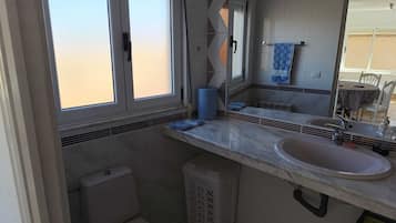 Shower, bidet, toilet paper