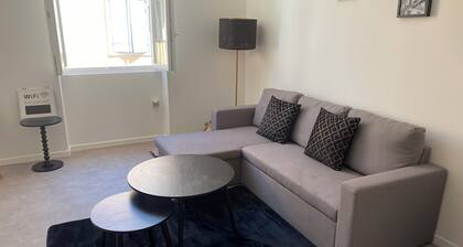 Downtown T2 apartment