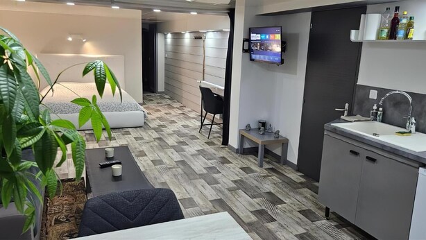 Een moderne hotelkamer met een bank, een eettafel, een televisie, een kitchenette en een grote potplant.