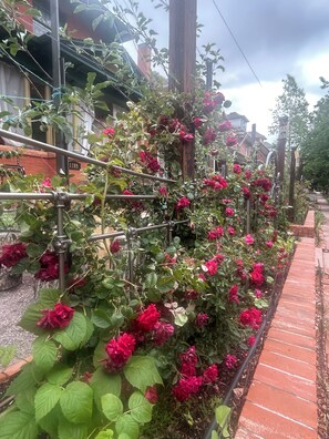 Ein Garten mit einer Spalierkonstruktion, die Kletterpflanzen und Blumen trägt.