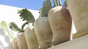 Una fila de macetas grandes color beige con cactus frente a una pared blanca.