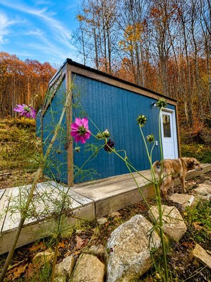 Exterior detail - Lovely Tiny Home, Edge of Pisgah, Bold Creek. Sauna, Cowork Lounge, Market (Barnardsville)