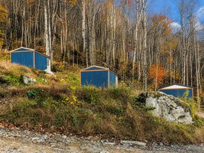 Exterior - Lovely Tiny Home, Edge of Pisgah, Bold Creek. Sauna, Cowork Lounge, Market (Barnardsville)
