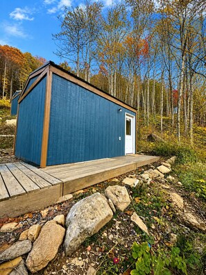 Exterior - Lovely Tiny Home, Edge of Pisgah, Bold Creek. Sauna, Cowork Lounge, Market (Barnardsville)
