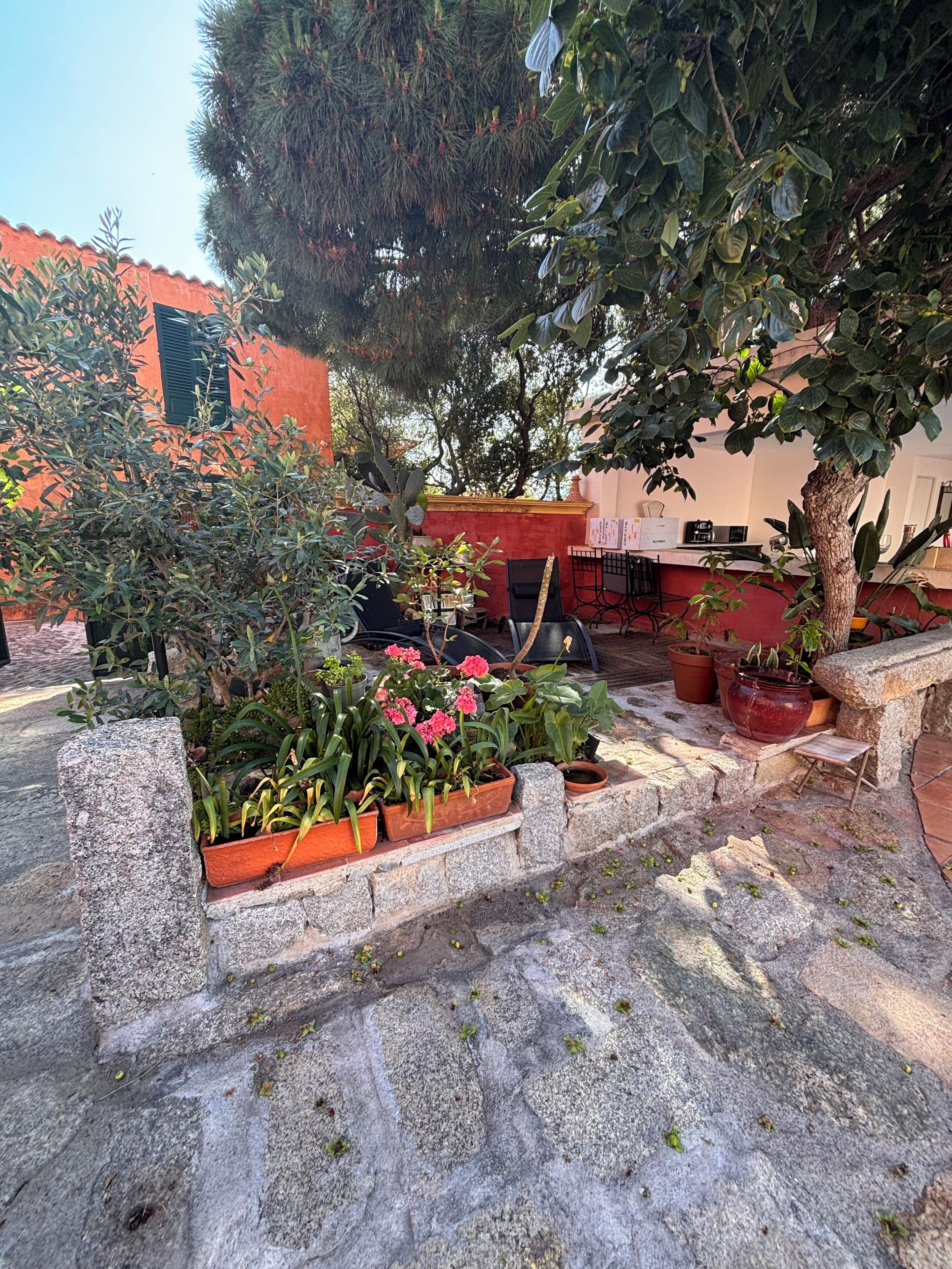 A courtyard with potted plants, a stone bench, and a table with chairs.