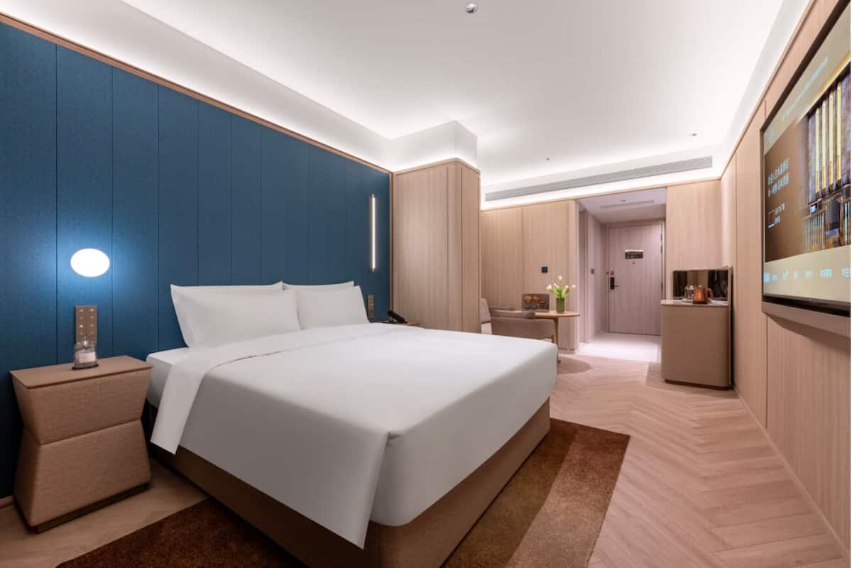 Comfort Single Room | Minibar, WiFi (free), bed sheets
