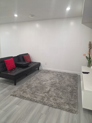 Ein modernes Wohnzimmer mit einer schwarzen Couch, einem grauen Teppich und einer weißen Wand.