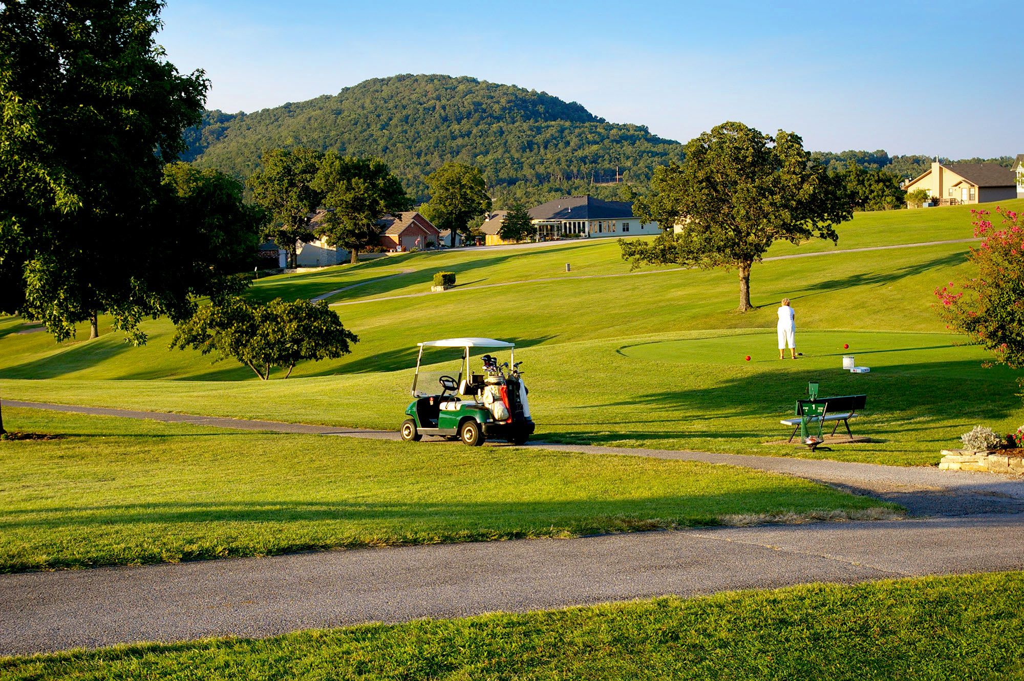 Ein Golfplatz mit Golfwagen, Fahnenstange und Fahne.