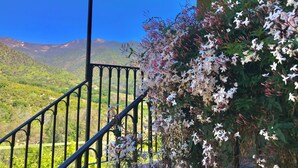 Ein Balkon mit Geländer, einer roten Markise und Blick auf grüne Hügel und Berge.