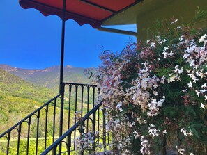 Ein Balkon mit Geländer, einer roten Markise und Blick auf grüne Hügel und Berge.
