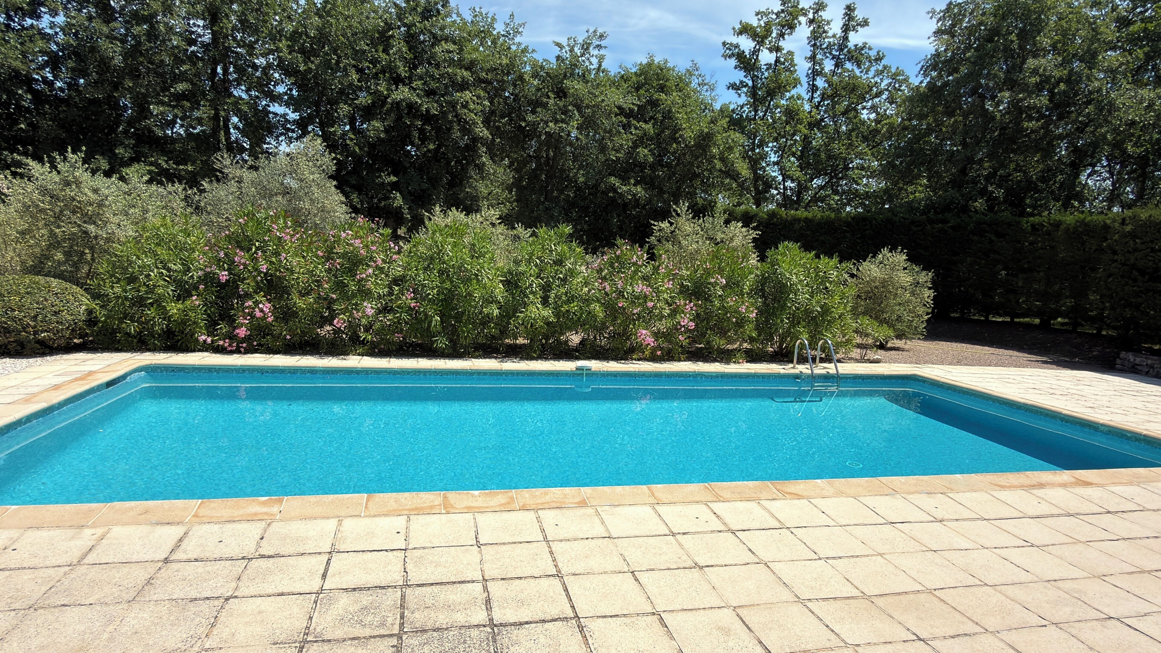 Ein rechteckiger Pool mit Fliesenrand, umgeben von einer Pflasterterrasse.