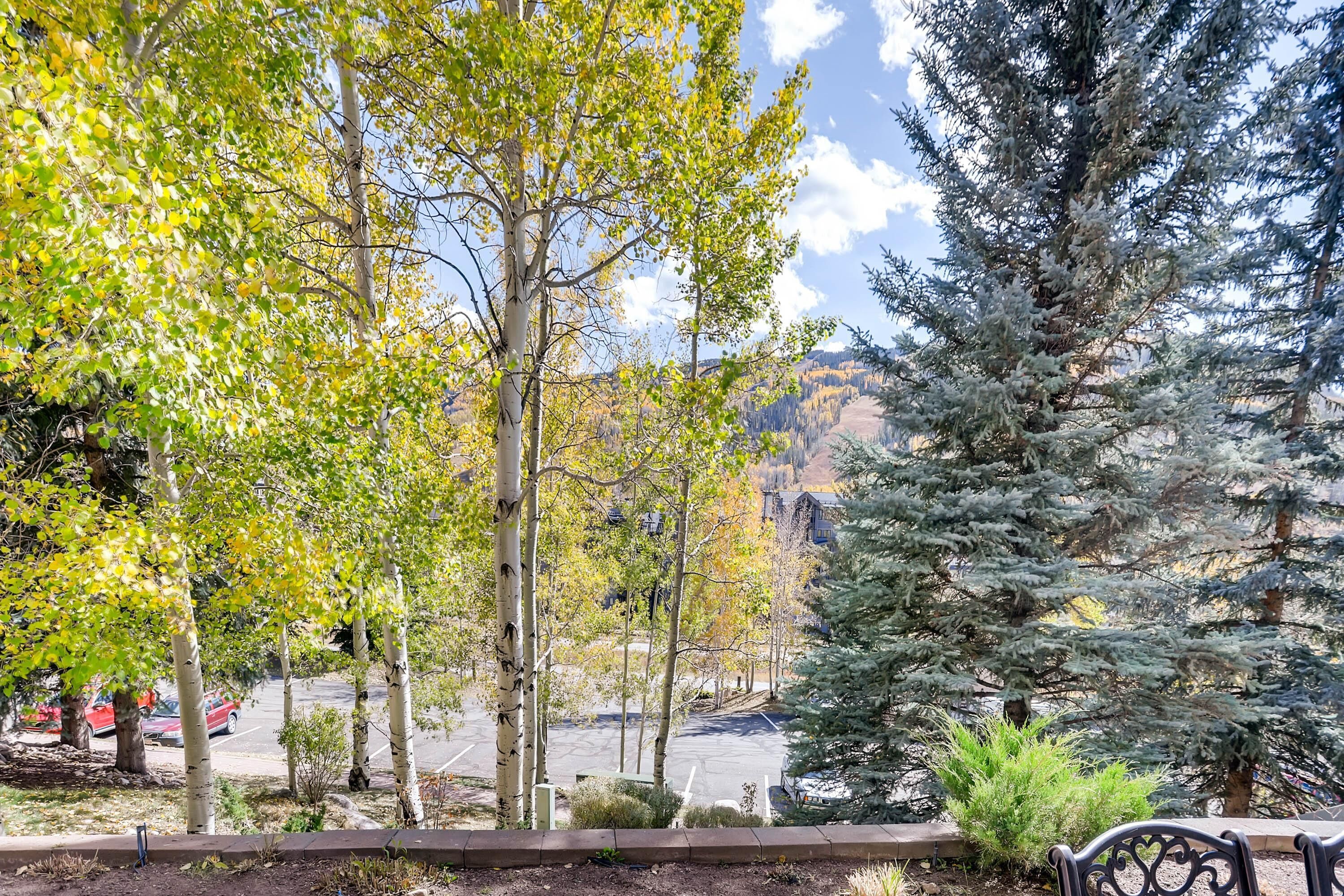 A parking lot with trees and a mountain in the background.