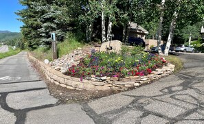 Eine gepflasterte Straße mit Steinbord und bunten Blumenbeeten.