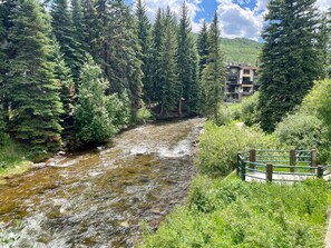 Ein Fluss fließt durch einen Wald, im Hintergrund ein Gebäude.
