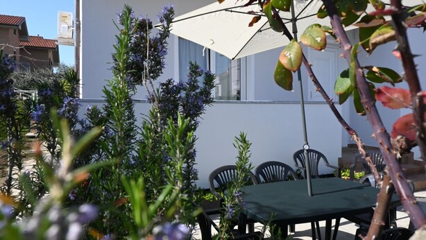 Un área de comedor al aire libre con mesa y sillas, rodeada de plantas y una sombrilla blanca.