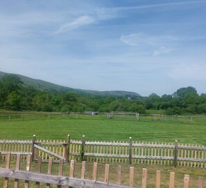Property grounds - Cosy retreat at Daisy Cabin in Mid Wales/Pet Friendly/ Undercover hot tub/Garden (Llanbrynmair)