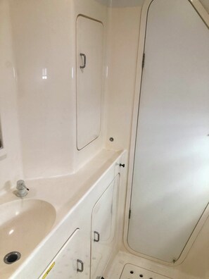 Shower, bidet, towels, soap