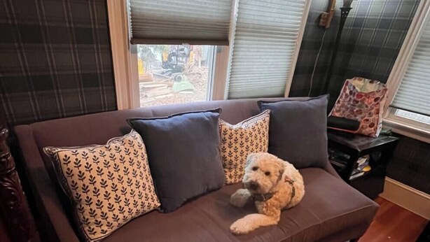 A brown sofa with patterned pillows, a small dog, and a black ottoman in a room with plaid wallpaper and a window with blinds.