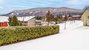 A residential area with a snow-covered landscape, a hedge, and houses with various roof colors.