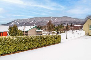 A residential area with a snow-covered landscape, a hedge, and houses with various roof colors.