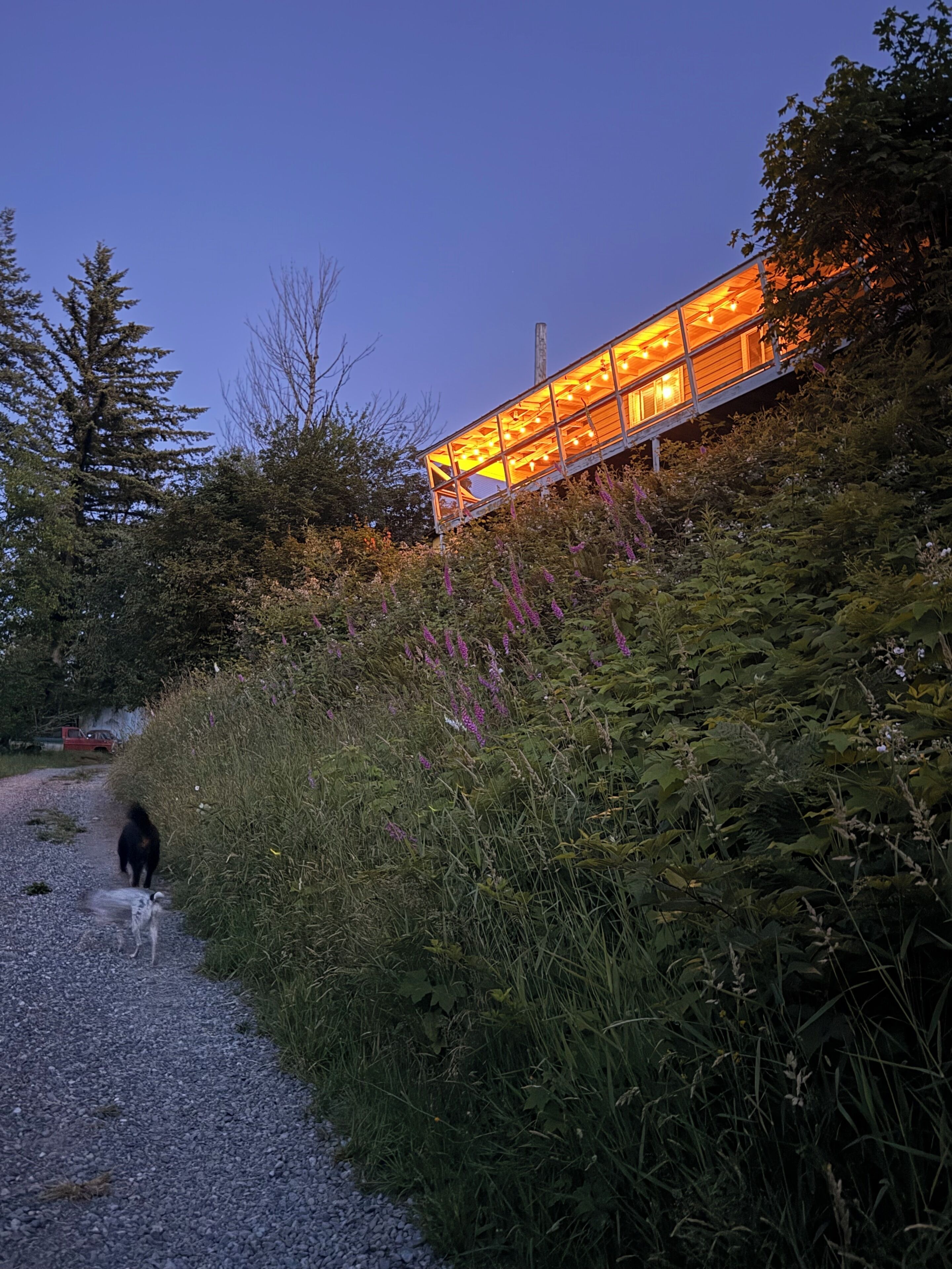 Un bâtiment moderne à la façade vitrée, entouré d’une végétation luxuriante et bordé d’un chemin de gravier.