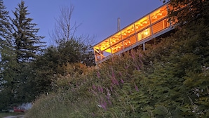 En modern byggnad med en fasad av glas, omgiven av tät vegetation och en grusgång.