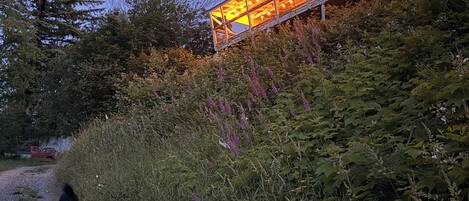 Un bâtiment moderne à la façade vitrée, entouré d’une végétation luxuriante et bordé d’un chemin de gravier.