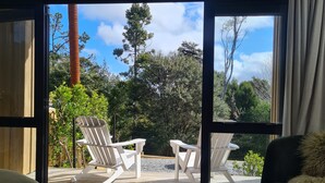 A room with a large sliding glass door leading to an outdoor deck with two white Adirondack chairs and a green sofa.