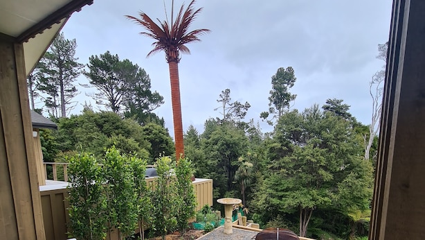 A wooden deck with two white Adirondack chairs, a gravel area with a fire pit, and a backdrop of trees and a tall palm.