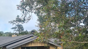 A wooden house with a sloped roof, a front door, and a small porch area.