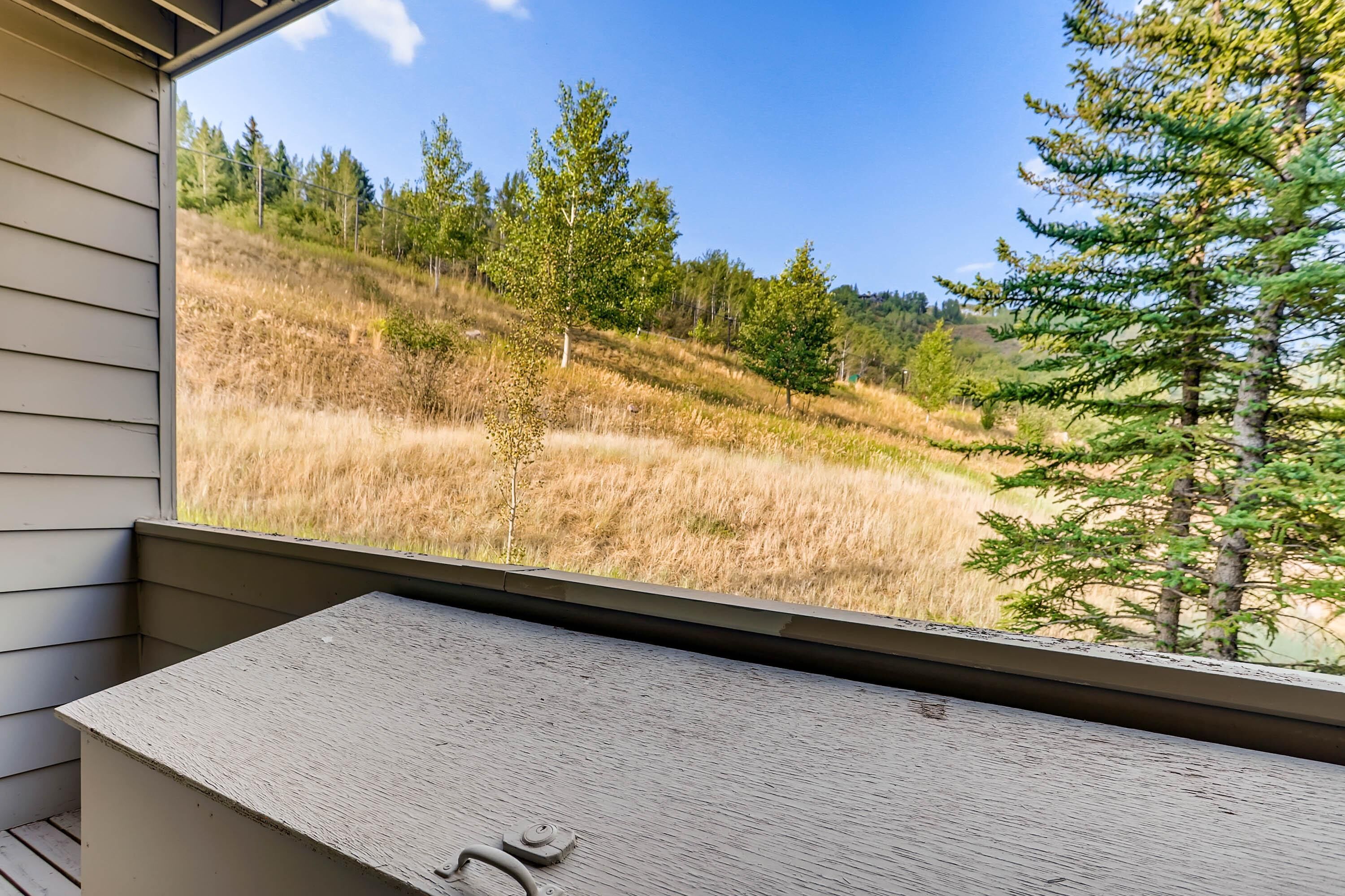 Ett fönster med utsikt över en grönskande sluttning och träd.
