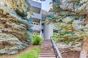 Eine Treppe führt zu einem Gebäude im modernen Stil, umgeben von immergrünen Bäumen.