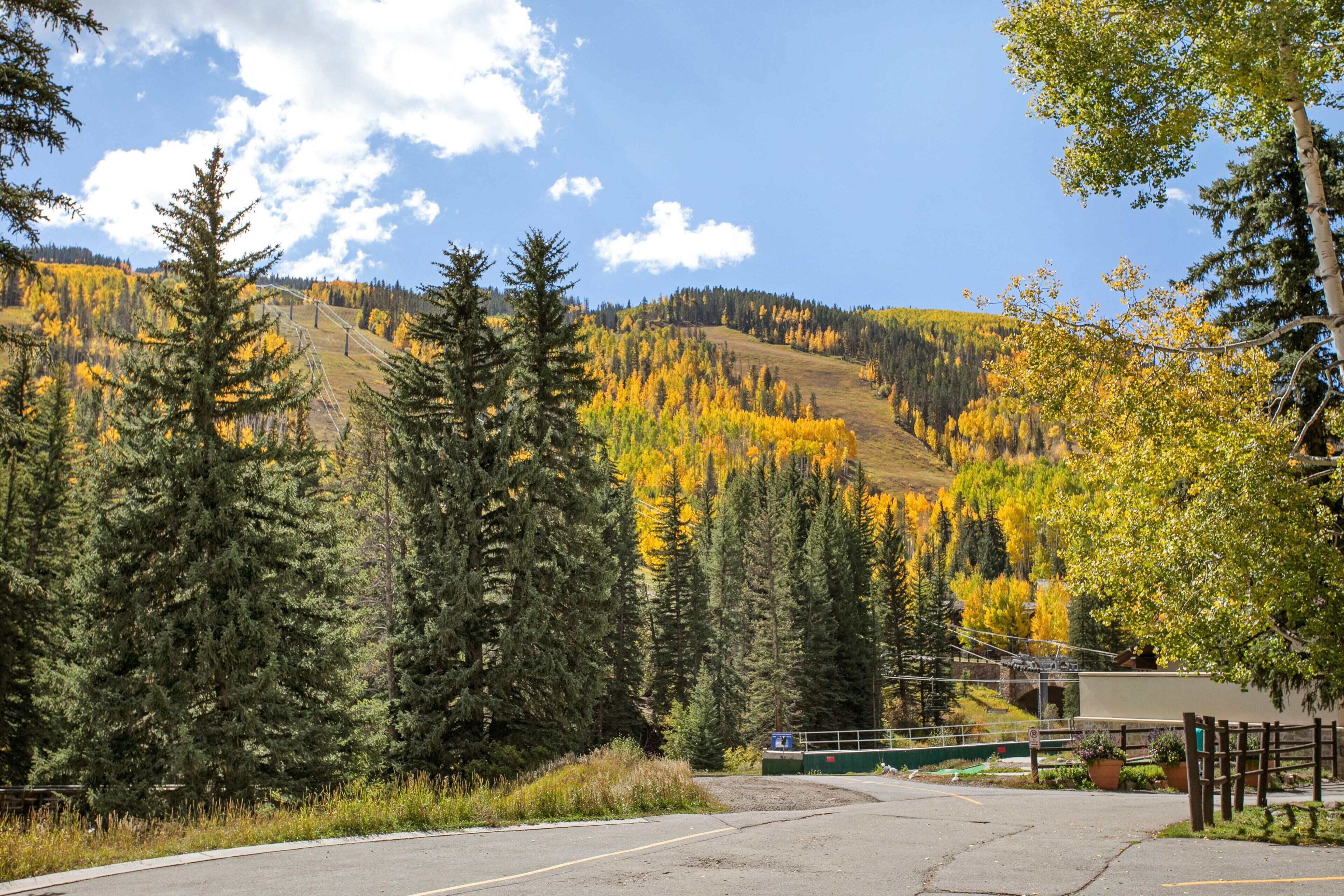 A paved road with a fence, a parking area, and a mountain with autumn-colored trees.
