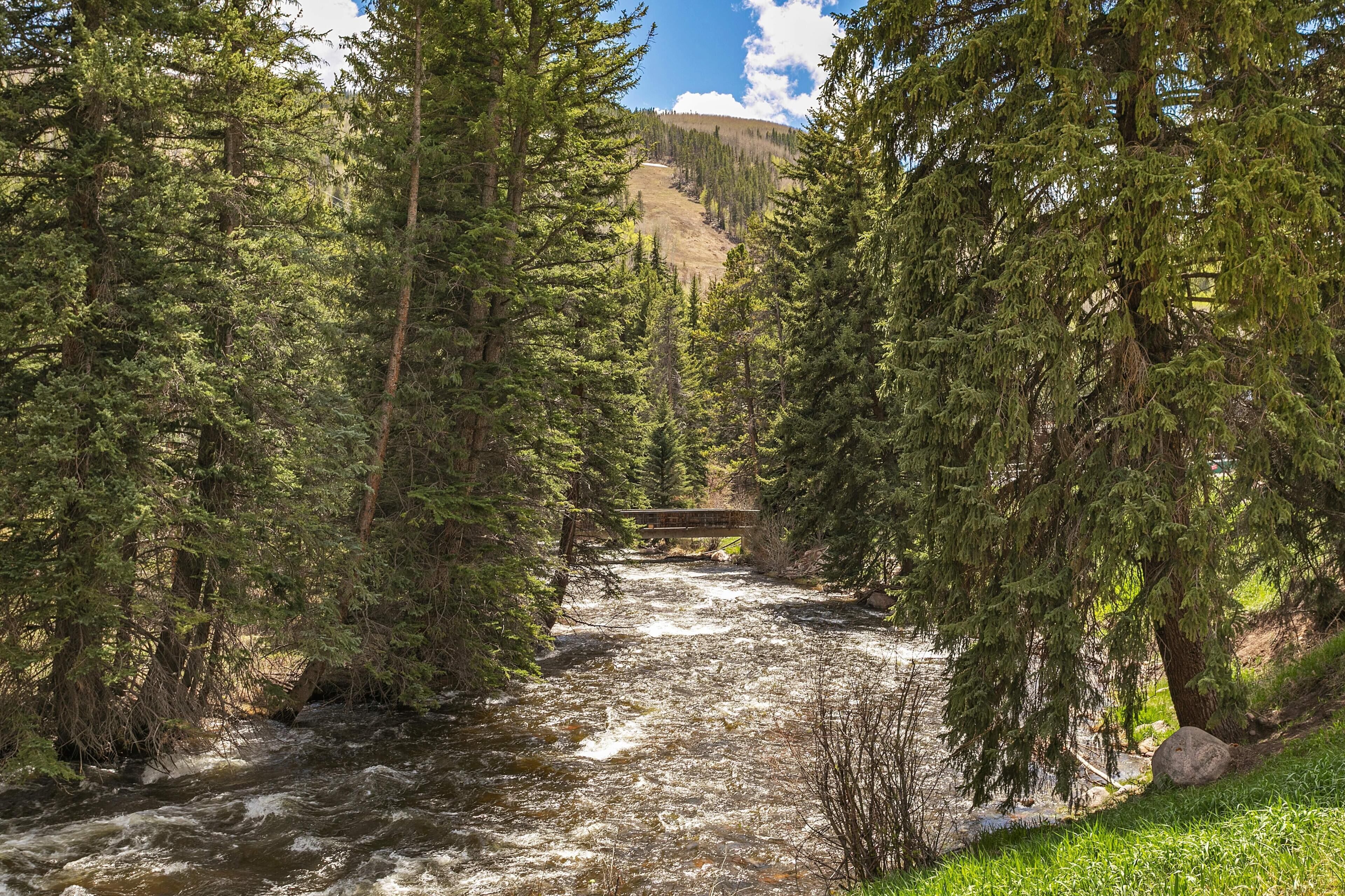 A river flowing through a forest with a bridge in the distance.
