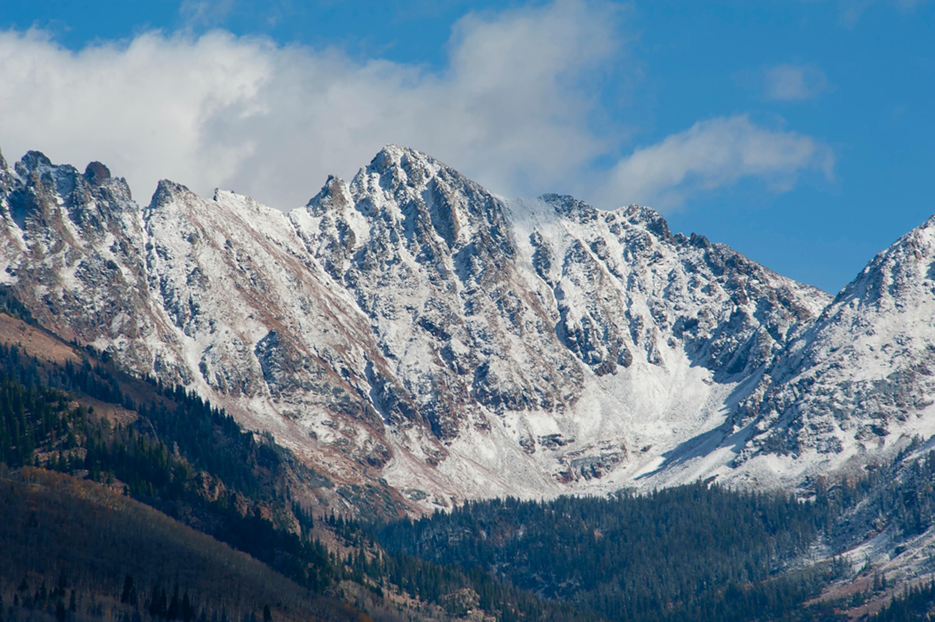 Cordillera nevada con un valle cubierto de bosque.