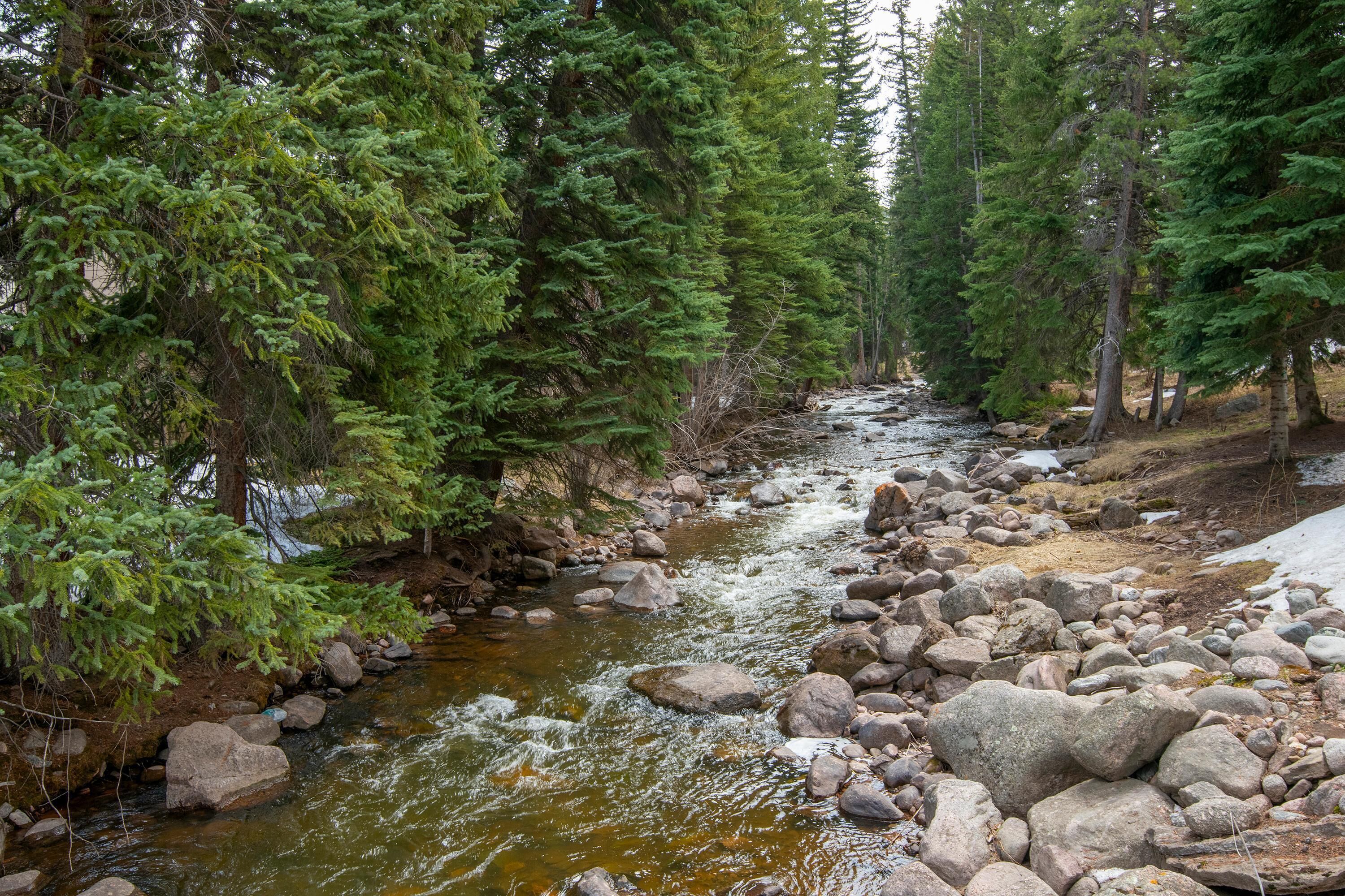 Un fiume che scorre attraverso una foresta con rocce e alberi.