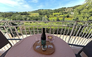 Une table avec une bouteille de vin, deux verres et un petit récipient sur un balcon donnant sur un vignoble.