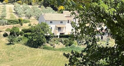 Gîte climatisé « Le Colombier » 3★ - Calme et nature au cœur des vignobles